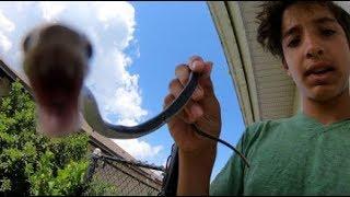 Snake ATTACKS my Cat️ and Eddie Becomes a King!