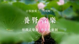 半夏药音｜水音养肾｜补足肾气，强身健体，缓解疲劳,健康养生,健康常识,