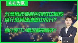 【布布为赢】五万亿政策能否挽救中概股，为什么英伟达盘中拉升？为什么TSLA最近都是利好？