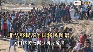 特朗普新政与非法移民生态：美国移民数据分析解读  移民 | 非法移民 | 劳动力人口 | 驱逐 | 庇护 | 工作许可 | 边境 | 边境沙皇 | 川普政府新政  20241113师姐说