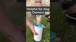 To Clean Dogs Paw