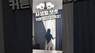 하루종일 안 보이는 마법, 투명불투명 유리 변신템 공개!