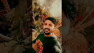 Chand jaisan chehra tohar #youtubeshorts #love #viral #song #bhojpuri #video #bhojpurisong#viralsong