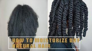 HOW TO MOISTURIZE DRY NATURAL HAIR | NICKYBNATURAL