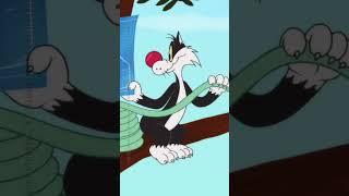 Looney Tunes Cartoons auf Deutsch  #shorts | Tweetys Geburtstagsgeschenk  |@WBKidsDeutschland