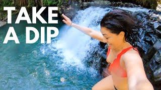 4 Best Road to Hana Waterfall Stops | Twin Falls, Waikana Falls, Pua'a Ka'a, Hanawi Falls + a bonus