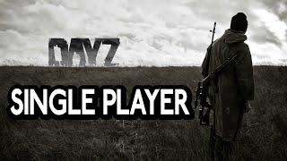 How to play DayZ in Single Player - Easy Guide