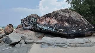 Discover the Hidden Symbolism of Kuantan's Spectacular Giant Turtle Mural, Malaysia