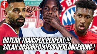 MEGA BAYERN TRANSFER FIX | Tel zu Tottenham & Coman vor dem Aus | Salah Abschied? | Buli News