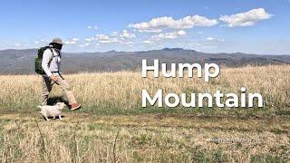 Roan Mountain's best day hike // Hiking Hump Mountain on the Appalachian Trail