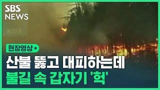 불길 속 갑자기 '헉'…대형 산불 뚫고 대피하는 캐나다 시민들 (현장영상) / SBS