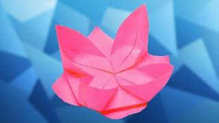 How to make an Origami Water Lily