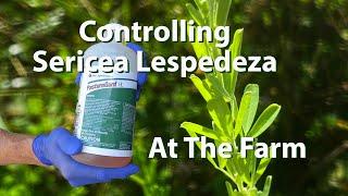 At the Farm   Controlling Sericea Lespedeza