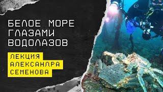 Белое море подо льдом: удивительный подводный мир глазами водолазов | Александр Семенов
