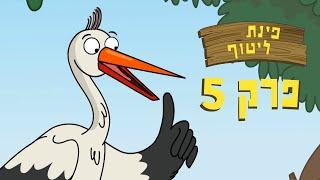 ניר וגלי פינת ליטוף - ביקור החסידה