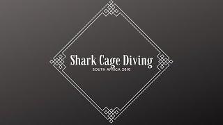 Shark Cage Diving in SA