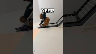 Don’t YEET the baby! 