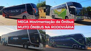 MOVIMENTO de ÔNIBUS na RODOVIÁRIA de MARINGÁ