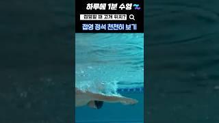 접영 고개 드는 타이밍? 정석 영상 #수영배우기