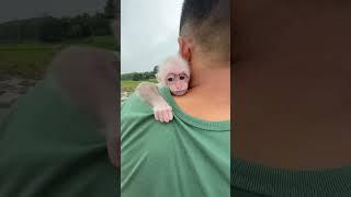 Bibi hugs dad's neck to go out