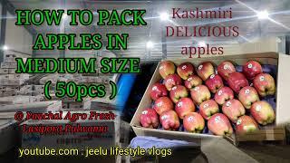 How to pack apples in medium size 50pcs apple packing in kashmir half case box part 1