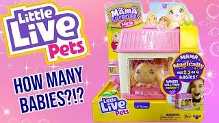 Hippity Hoppity! | Little Live Pets - Mama Surprise Minis - Bunny Edition | Adult Collector Review