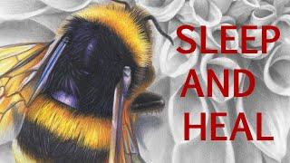 HEAL WHILE SLEEPING: Bee Hive Sounds 150Hz Universal Healing Frequency and Resonance