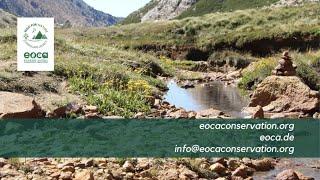 EOCA two year focus - Wild for Nature: Landscape Legacy Project