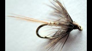 BH Emerger