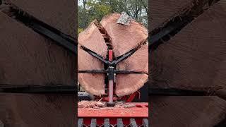 Big Rounds on The Wolfe Ridge #firewood #splitting @WolfeRidgeSplitters