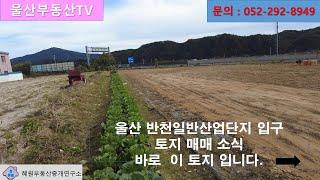 [관리번호 : 231023] 울산 반천일반산업단지 입구 "창고"로 활용하면 좋은 토지 매매 소식입니다.