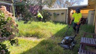 Someone used to love this garden. We try and restore it to its former glory!