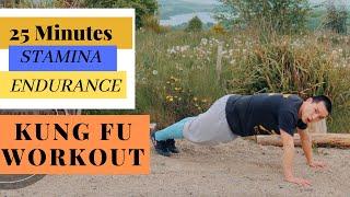 25 Min Intense Full Body Kung Fu Workout - Take your Fitness STAMINA & ENDURANCE to the NEXT LEVEL 