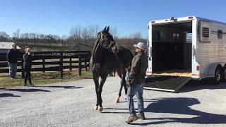 Old Friends Blog Visit 39 Lava Man Settles In