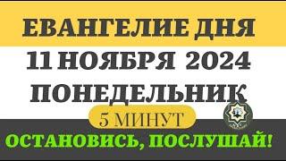 11 НОЯБРЯ ПОНЕДЕЛЬНИК ЕВАНГЕЛИЕ ДНЯ 5 МИНУТ АПОСТОЛ МОЛИТВЫ 2024 #мирправославия