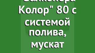 Кашпо Балконера Колор 80 с системой полива, мускат (Lechuza) обзор 15684