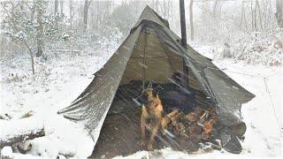 4 Tage Wintercamping im Schneesturm mit meinem Hund, Naturfilm, Schneesturm