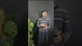 Tayyab digital marketing wala