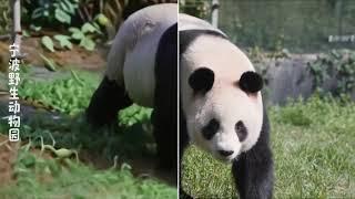 用黏土特效打开宁波！| 宁波 旅游 【China Story:千年风华 秀美嘉兴@ChinaStory_jiaxing】