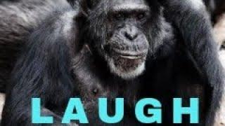 Smile!!! Lagoon Laughs: A Comedy Spectacular!"