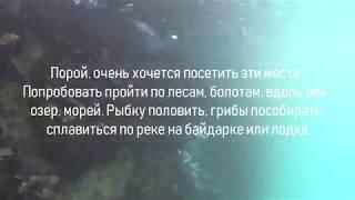 Трейлер. Походы-приключения-путешествия на природе