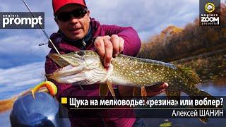 Щука на мелководье: «резина» или воблер. Алексей Шанин. Anglers Prompt