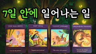 타로️ 7일 안에 일어나는 일 (6월16일~22일) 주간타로!