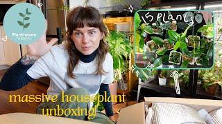 huge (mostly hoya lol) plant haul! shopping for hoya for the BLOOMS   planthaven toronto unboxing