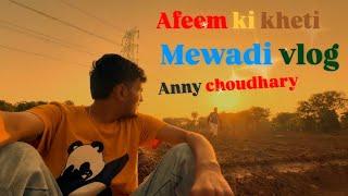 Afeem ki kheti || mewadi vlog || anny vlogs