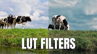 Use These Preset LUT Filters in Filmora 13