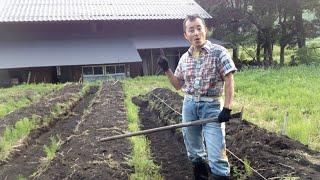 「習慣」力が身につく方法