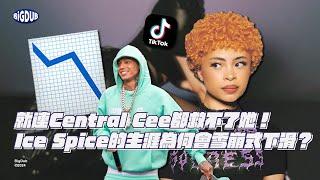 Ice Spice 的每月收聽人數暴跌！一個過度依賴Tik Tok的負面教材｜嘻哈事件 EP.54