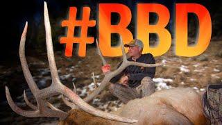 Big Bull Down! Elk Hunting Grizzly Country with Guy Eastman