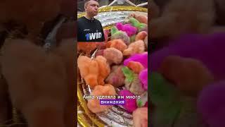 Девушка нашла в дереве много яиц